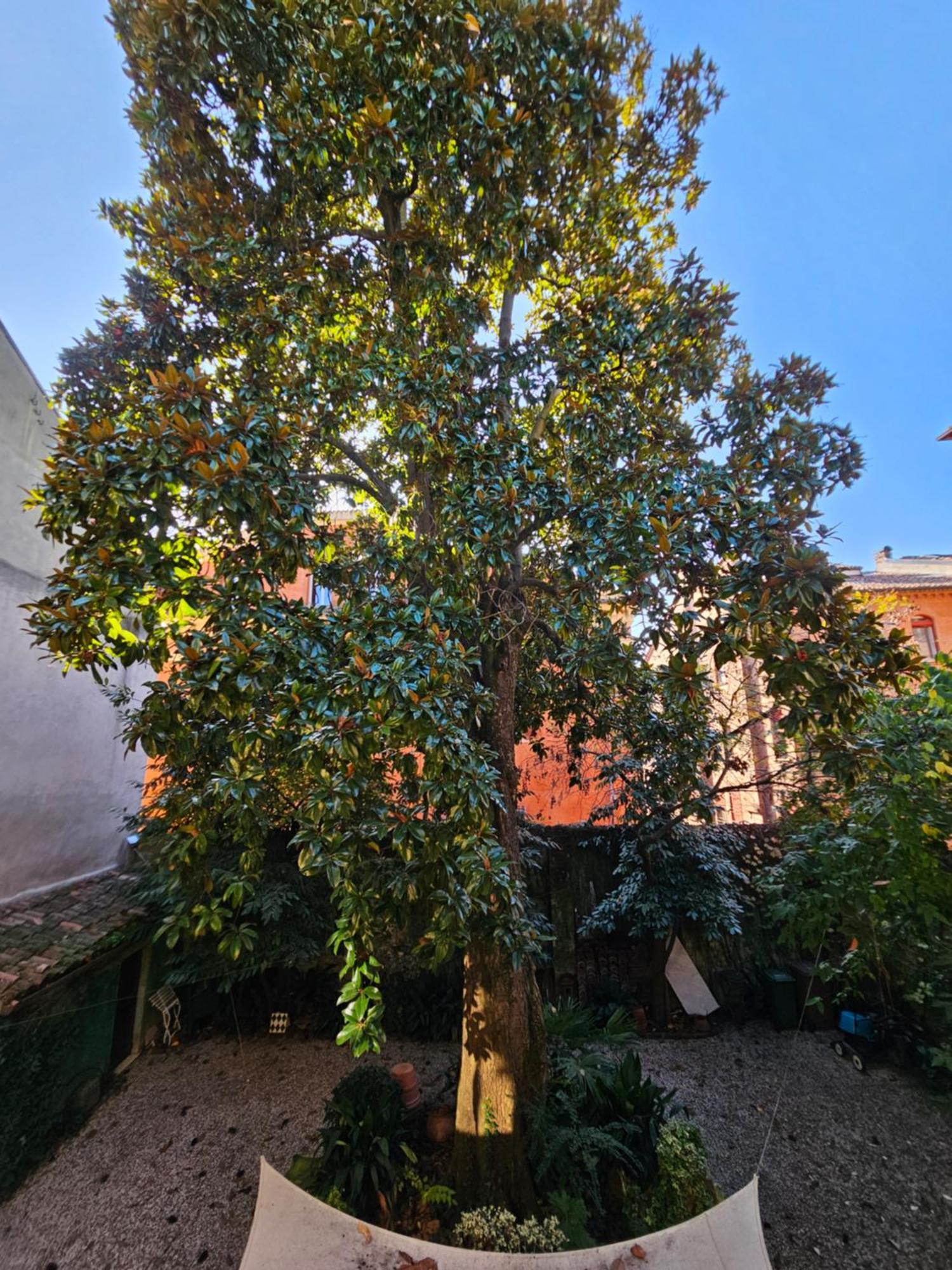 Apartamento L'Ape Regina Ferrara Exterior foto